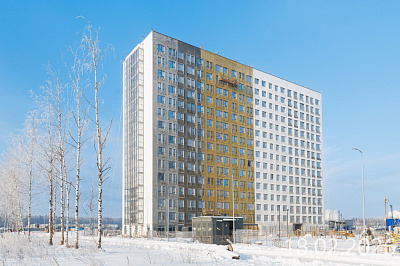 Парголово