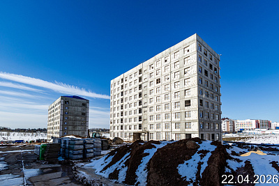 Новинки 