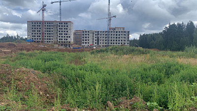Кварталы Отрада