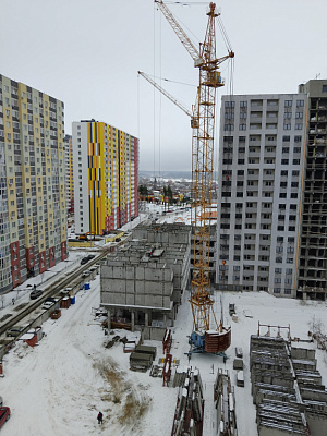 г. Воронеж, Улица