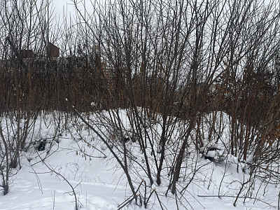 г. Тамбов, улица Заводская