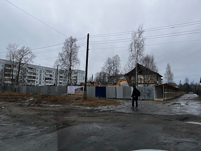 Северные тона