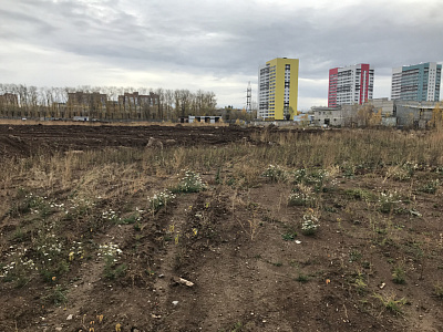 Красное яблоко Эт13 Секции 2.3,2.4