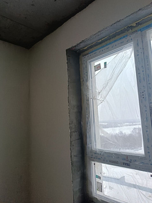 Расцветай на Бугринской роще