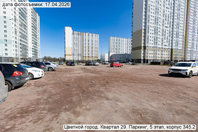 Цветной город