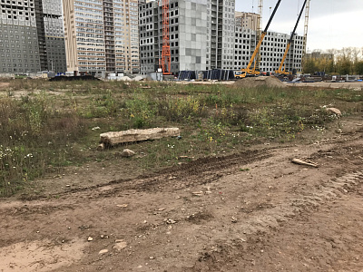 Красное яблоко Эт6 Секции 3.1,3.2