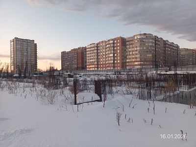 Мирапорт