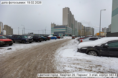 Цветной город