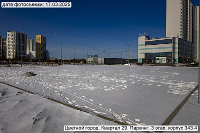 Цветной город