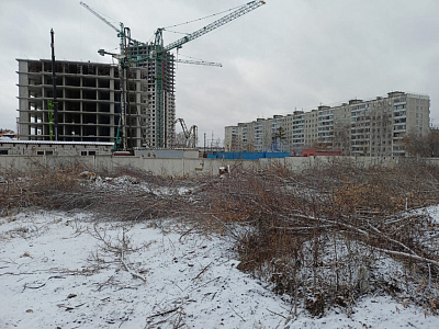 Расцветай на Зорге