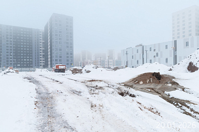 Парголово