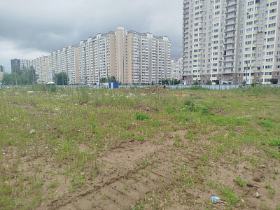 Город-парк Первый Московский (11ф. к.5)