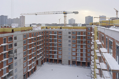 Брусника в Академическом