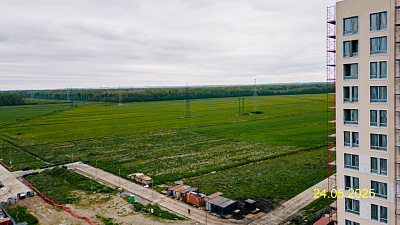 ЛО, Деревня Новосаратовка