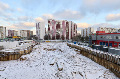 РОДИНА ПЕРЕДЕЛКИНО