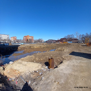 Дальневосточный Талисман