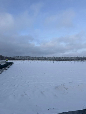 Миниполис Дивное