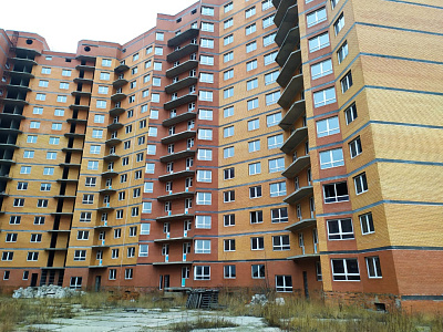 МО, г. Дмитров, ул Профессиональная
