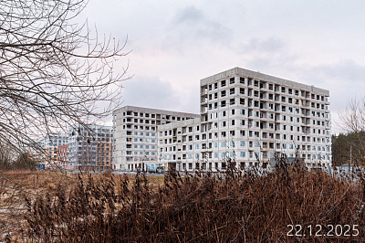 Новоселье
