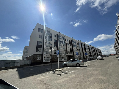 г. Михайловск, Улица Антона Чехова