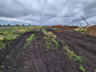 Село Репное