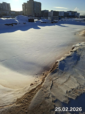 Деревня Борисовичи