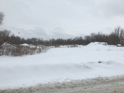 Дом Гринева