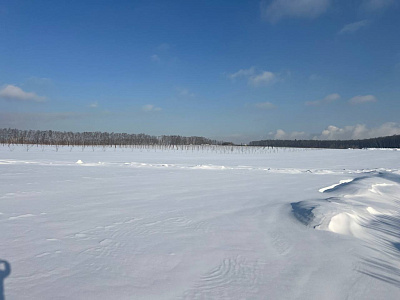 Миниполис Дивное