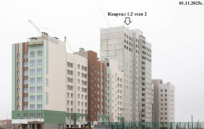 РеФорма Оптимум
