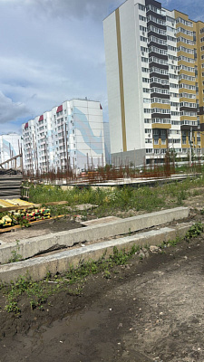 Новая Заря