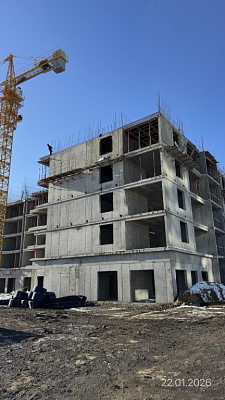 Поселок Новая Адыгея, Улица