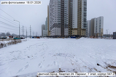 Цветной город