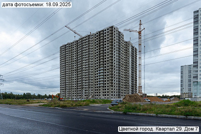 Цветной город