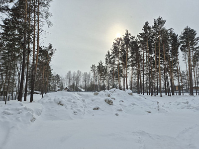 Расцветай у Академгородка