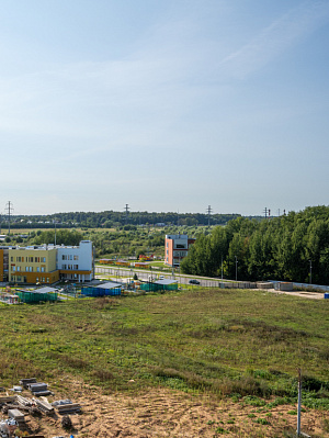 Левел Лесной