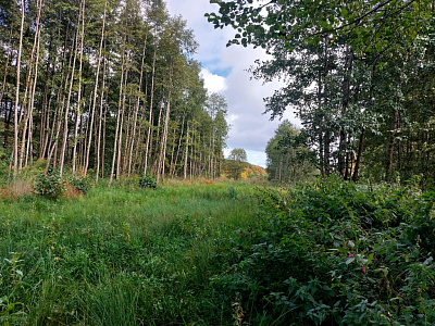 Комплекс апартаментов OTRADA resort