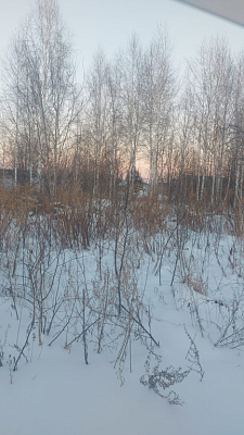 г. Бердск