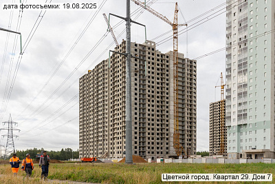 Цветной город