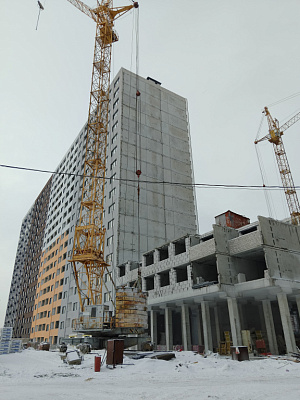 г. Воронеж, Улица