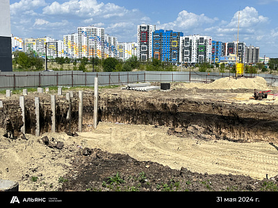 Село Засечное, ул Новая