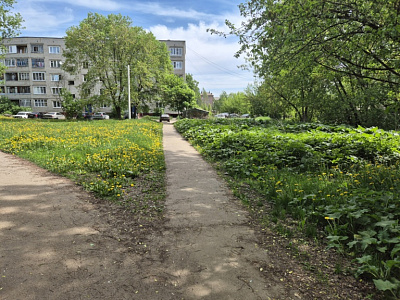 Приволжский