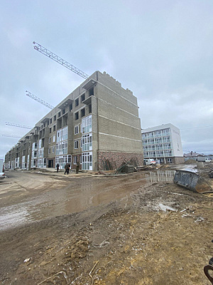 г. Михайловск, Улица Антона Чехова