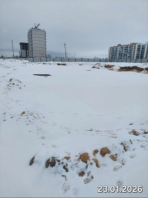Деревня Борисовичи