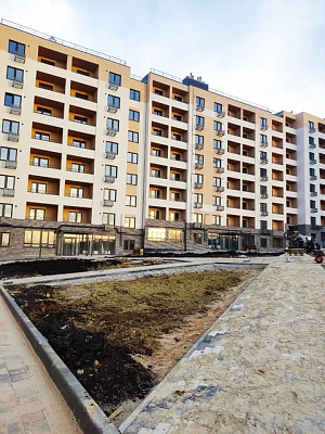 Поселок Дубовое, Улица Успешная
