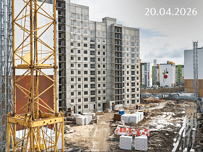 Инстеп.Бабяково