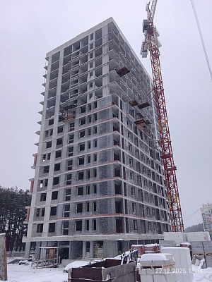 Норвежский лес