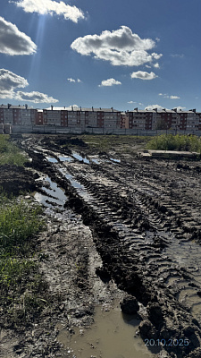 Поселок Новая Адыгея, Улица Бжедугская
