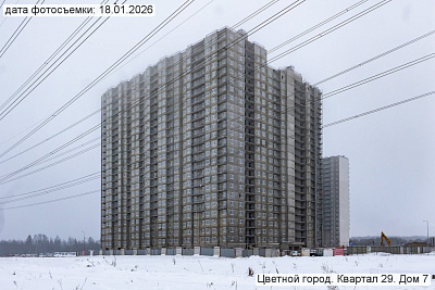 Цветной город