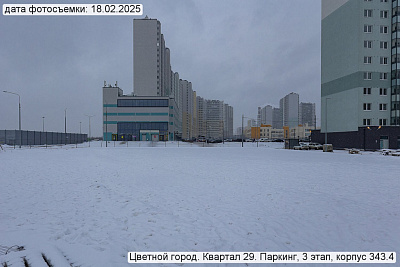 Цветной город