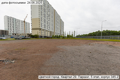 Цветной город
